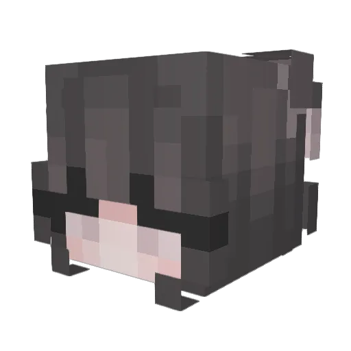 Cleo4ka Minecraft avatar head, 3D render