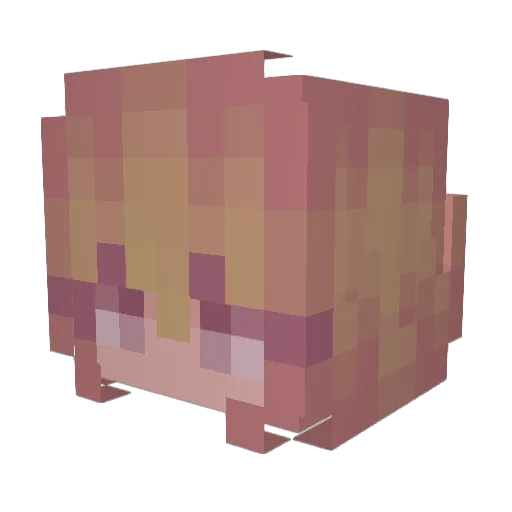 CleoBurton Minecraft avatar head, 3D render