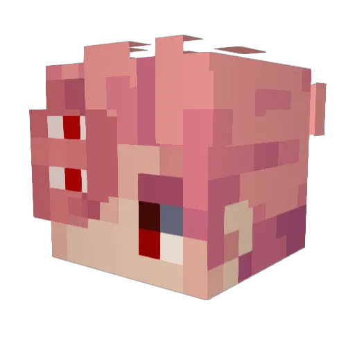 Cleo_1890 Minecraft avatar head, 3D render