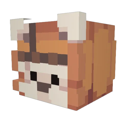 CleofisRandolf Minecraft avatar head, 3D render
