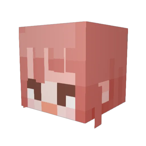 Clevelever Minecraft avatar head, 3D render