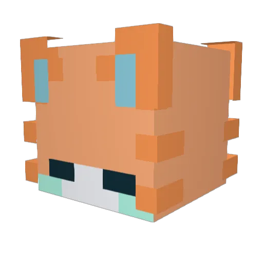 Clever_Cat Minecraft avatar head, 3D render