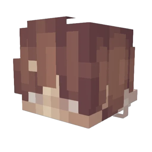 Clht Minecraft avatar head, 3D render