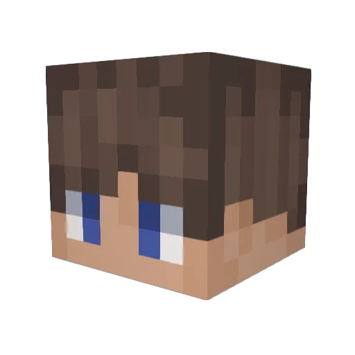 ClinicalIdiot Minecraft avatar head, 3D render