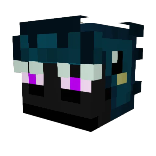 ClinicallyBoring Minecraft avatar head, 3D render