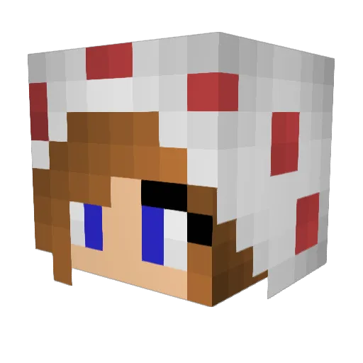 Clo2CuteFoU Minecraft avatar head, 3D render