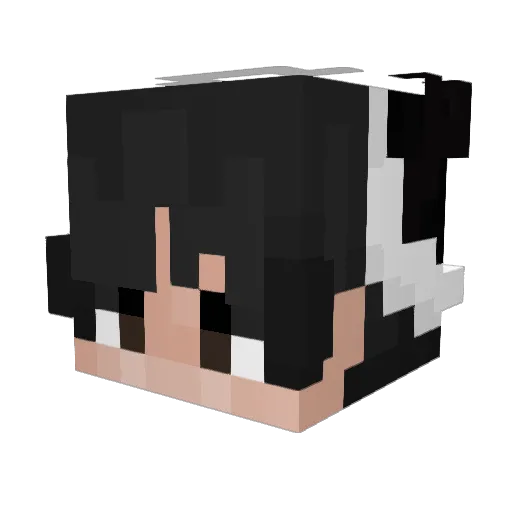Cloak69 Minecraft avatar head, 3D render