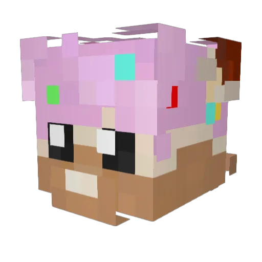 CloakDisaster Minecraft avatar head, 3D render