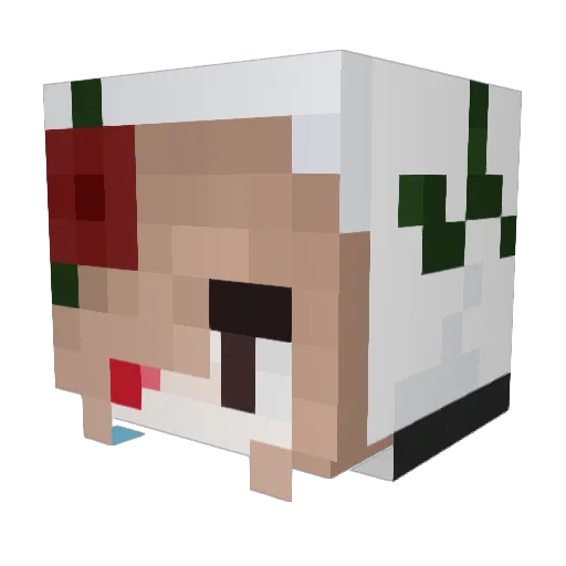 Cloak_an_Dagger Minecraft avatar head, 3D render