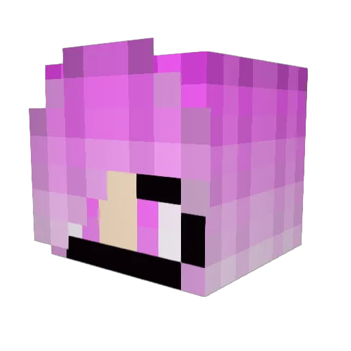 CloakedSpoon Minecraft avatar head, 3D render