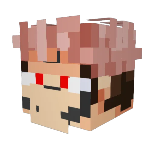 Cloakedvoid Minecraft avatar head, 3D render