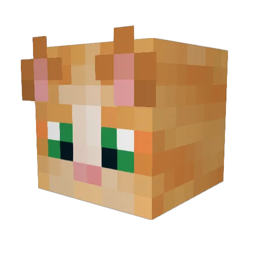 ClockerIII_LAX Minecraft avatar head, 3D render