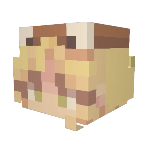 ClockworkMouse Minecraft avatar head, 3D render