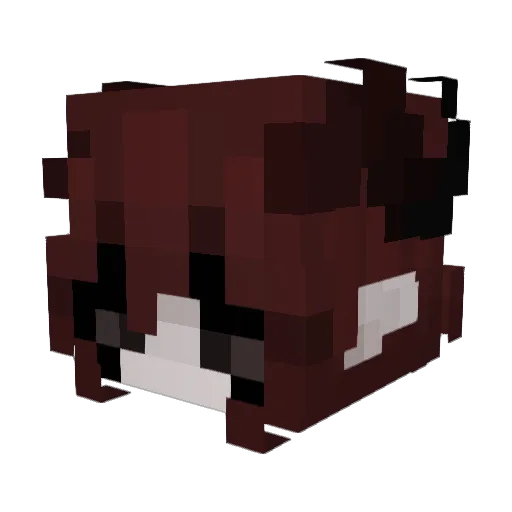 Clodo_ Minecraft avatar head, 3D render