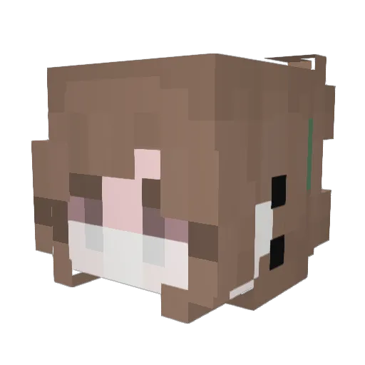 Clorox542 Minecraft avatar head, 3D render