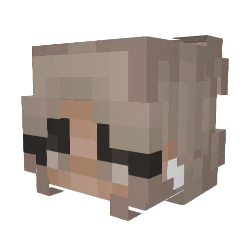 Closeted Minecraft avatar head, 3D render