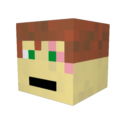 Clotkip Minecraft avatar head, 3D render