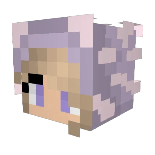 ClouTiger Minecraft avatar head, 3D render