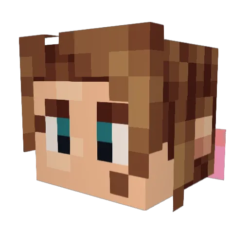 Cloud1917 Minecraft avatar head, 3D render