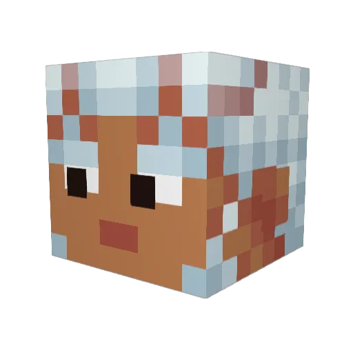 Cloud55 Minecraft avatar head, 3D render