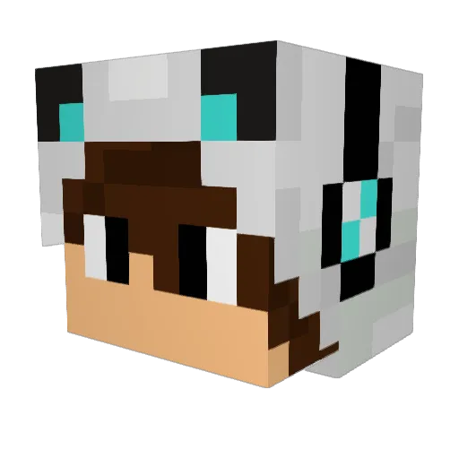 CloudFireDaWagon Minecraft avatar head, 3D render