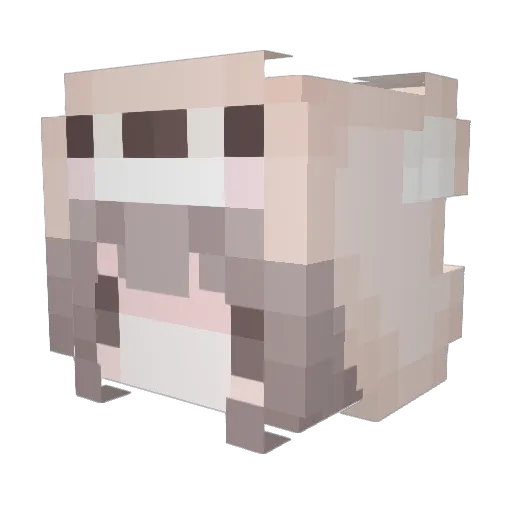 Cloud_520 Minecraft avatar head, 3D render