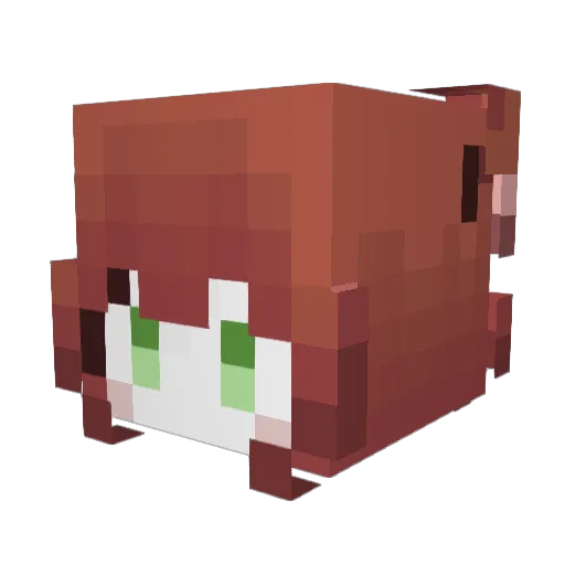 Cloud_Star1413 Minecraft avatar head, 3D render