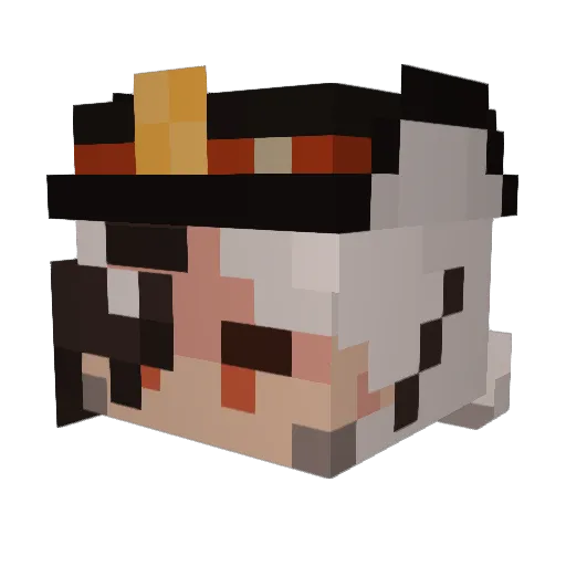 Cloudclown14 Minecraft avatar head, 3D render