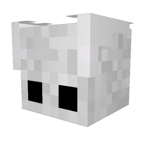 Clouded1324 Minecraft avatar head, 3D render