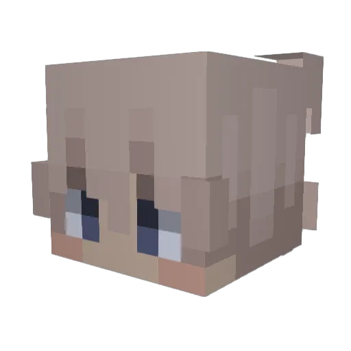 CloudedRain Minecraft avatar head, 3D render