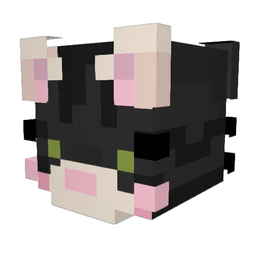 Clouded_Vision Minecraft avatar head, 3D render