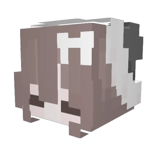 CloudflareHater Minecraft avatar head, 3D render