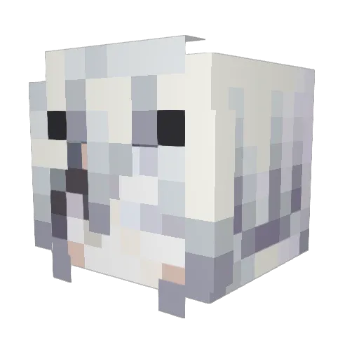 Cloudless0425 Minecraft avatar head, 3D render