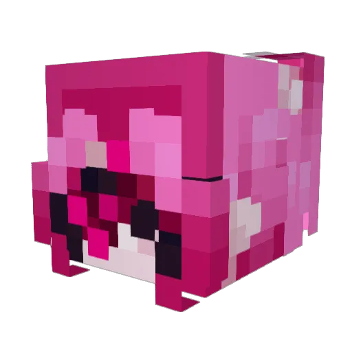Cloudp07 Minecraft avatar head, 3D render