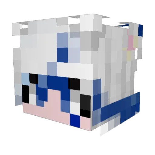 Cloudy0223 Minecraft avatar head, 3D render