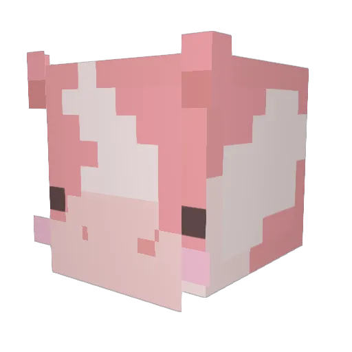 CloudyCroissant Minecraft avatar head, 3D render