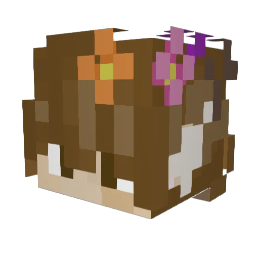 CloudyFall Minecraft avatar head, 3D render