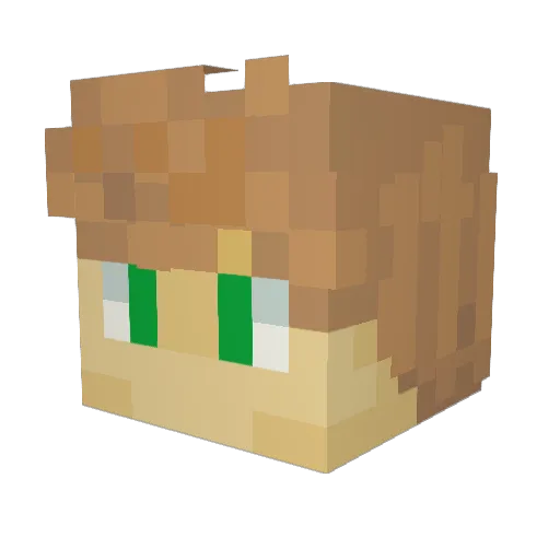 CloudyFlounder4 Minecraft avatar head, 3D render