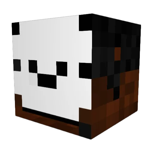 Cloudy_GG Minecraft avatar head, 3D render