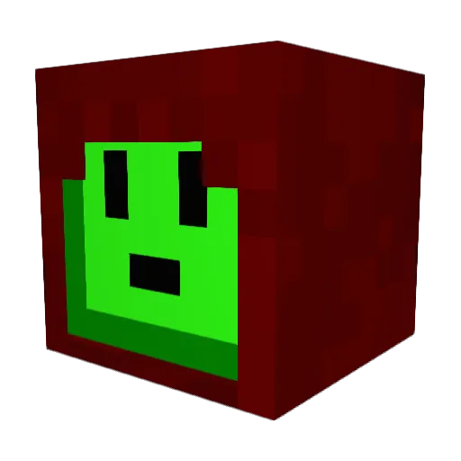 Cloudy_Turtle Minecraft avatar head, 3D render