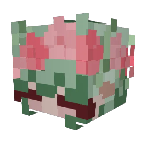 Cloudy_light Minecraft avatar head, 3D render