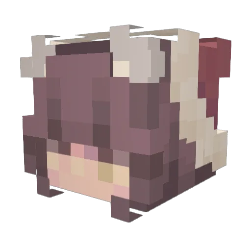 Cloudydyd Minecraft avatar head, 3D render