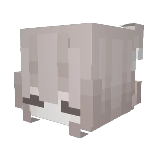 Cloudyjr67 Minecraft avatar head, 3D render