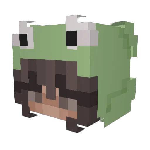 Clover1313 Minecraft avatar head, 3D render