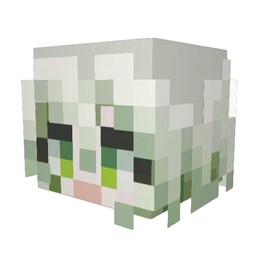 Clover941 Minecraft avatar head, 3D render