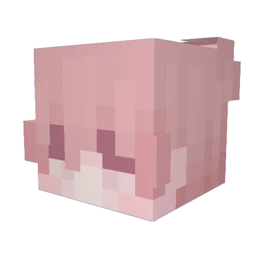 CloverGuy Minecraft avatar head, 3D render