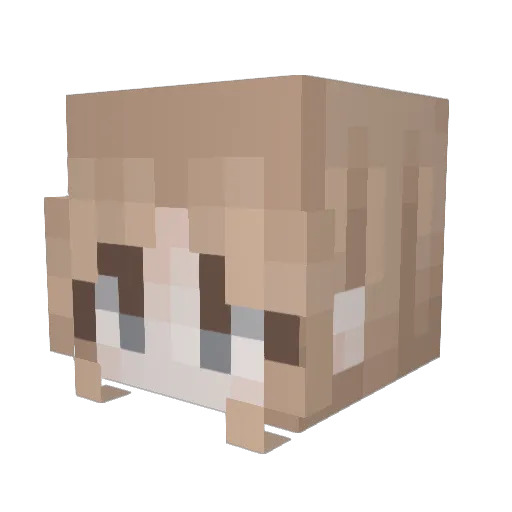 CloverOcean Minecraft avatar head, 3D render