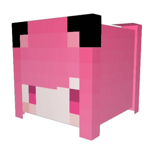 Clover_0928 Minecraft avatar head, 3D render