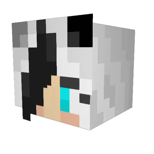 Clover_23 Minecraft avatar head, 3D render