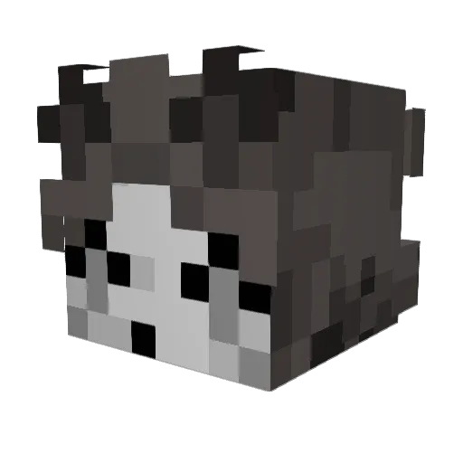 Clover_PNG Minecraft avatar head, 3D render